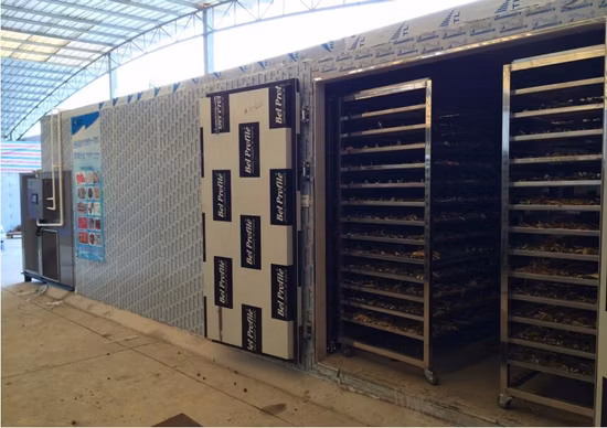 Hot Air Drying Food Fish Dehydrator Fruit Vegetable Dryer Drying Machine