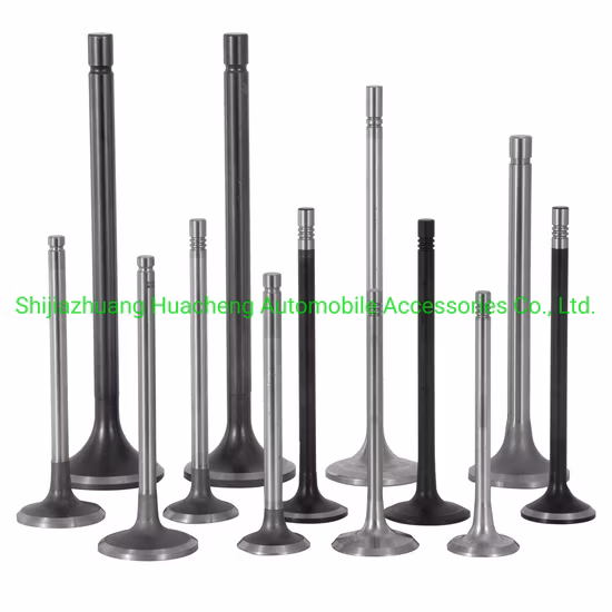 Tractor Parts Engine Intake Exhaust Valve R520223 for John Deere