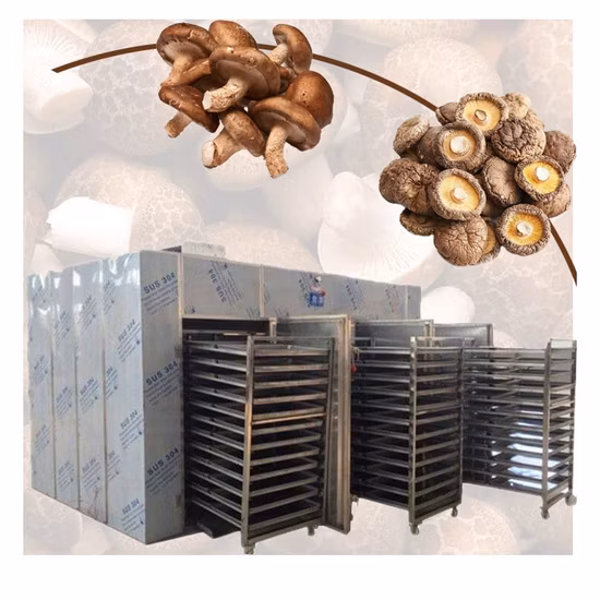 Hot Air Fruit Drying Equipment Apple Dryer